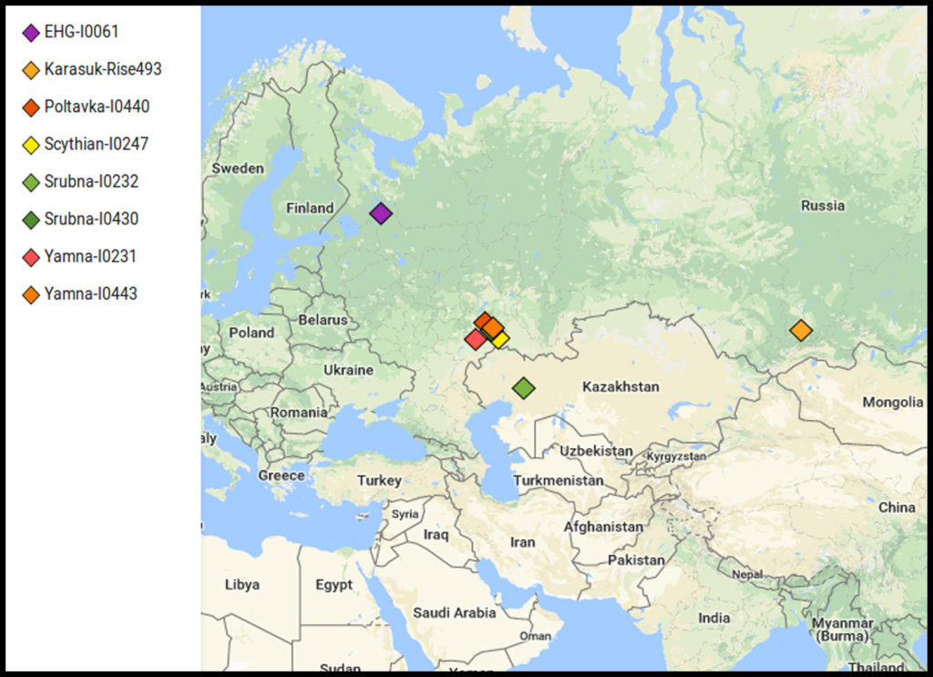 eurasian dna